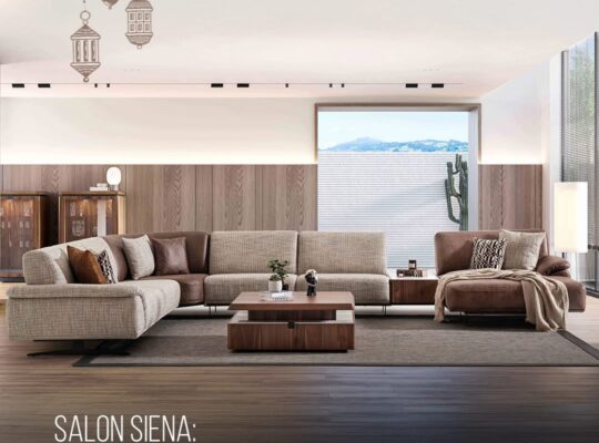 Le salon SIENA allie élégance et fonctionnalité av
