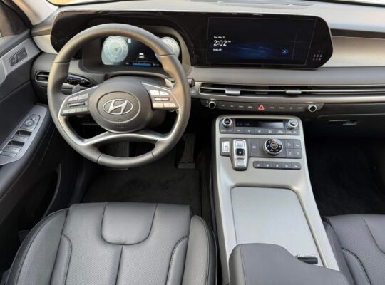 HYUNDAI PALISSADE