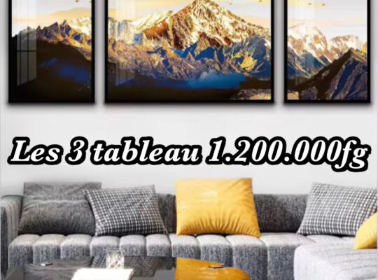 Les nouveaux tableaux modernes sont disponibles ch