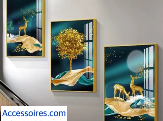 Tableau décoration disponible à taouyah petit lac