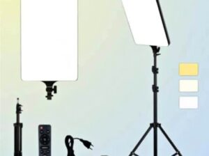LED RL19