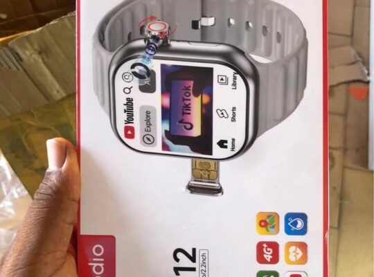 MONTRE A PUCE ST 12