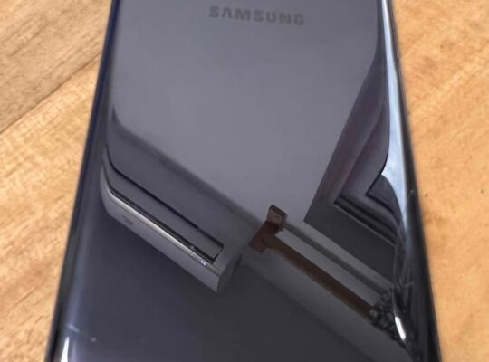SAMSUNG S10E
