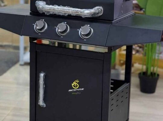 BARBECUE A GAZ