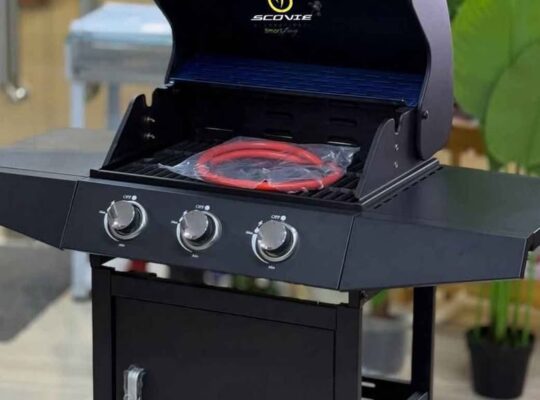 BARBECUE A GAZ