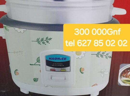MARMITE ELECTRIQUE