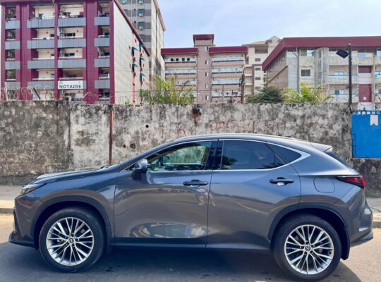 LEXUS