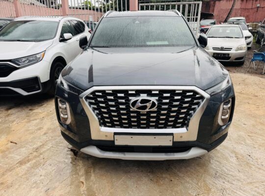 HYUNDAI PALISSADE