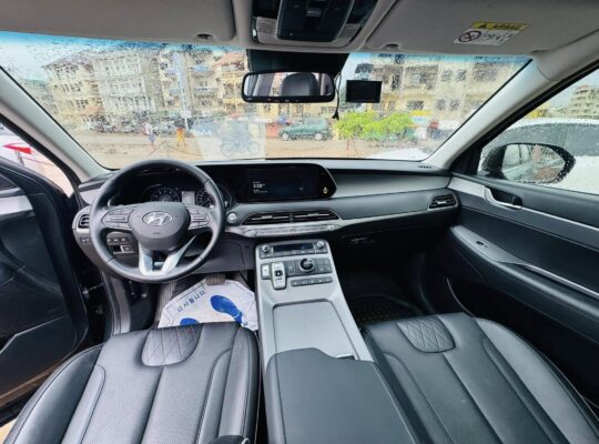HYUNDAI PALISSADE