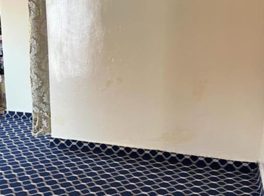 Décorez vos 👇👇 ✅ Mosquées & salles de prière 🕌